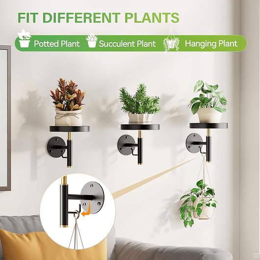 Soporte De Pared Metal X3 Und Para Plantas Interior 5