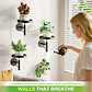 Soporte De Pared Metal X3 Und Para Plantas Interior - Miniatura 3
