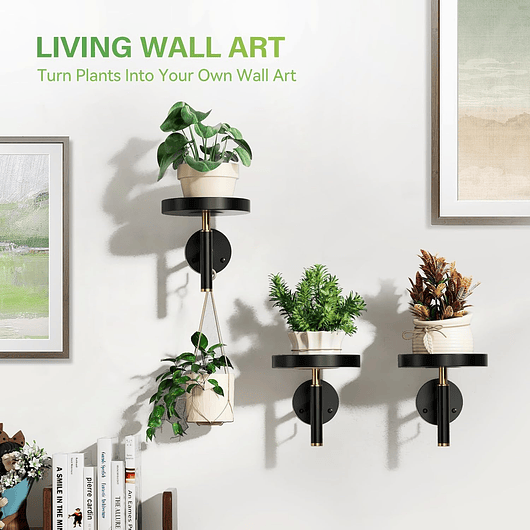 Soporte De Pared Metal X3 Und Para Plantas Interior 7