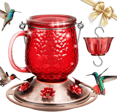 Bebedero Aves Colibríes x475ml Botella en Vidrio y 6 Puertos Alimentacion