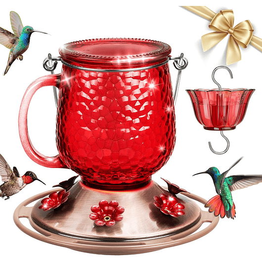 Bebedero Colibríes 16 Oz Vidrio De 6 Puertos Antihormigas 1