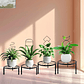 Soporte Enrejado Metal x4 Unidades Para Plantas Trepadoras - Miniatura 5
