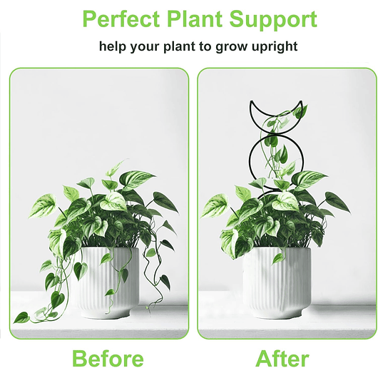 Soporte Enrejado Metal x4 Unidades Para Plantas Trepadoras 6