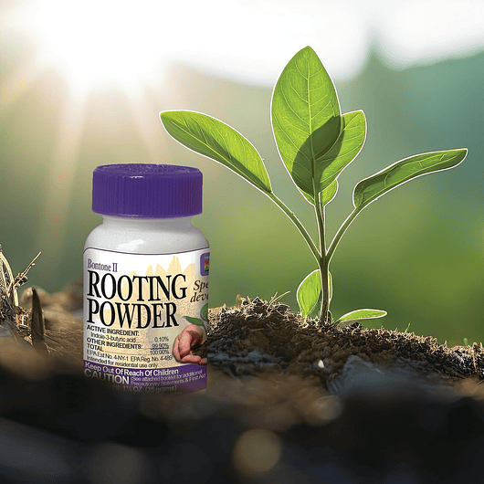 Polvo Enraizante  x35gr Para Propagación de Raíces, Esquejes en Plantas y Huertos 6