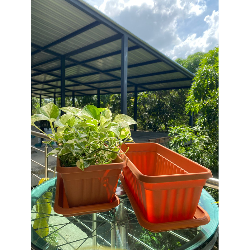 Matera Plástica Rectangular x2 unidades de 35 centímetros Largo Más Plato 6