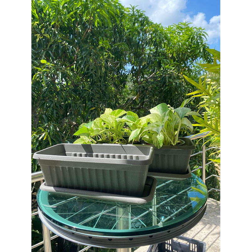 Matera Plástica Rectangular x2 unidades de 35 centímetros Largo Más Plato 7