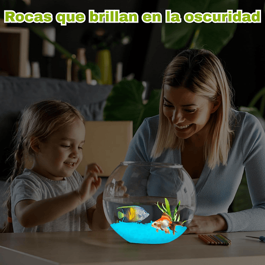 Piedras Decorativas de Jardín Acuarios Jardin de Hadas x800 Piezas Brillan En Oscuridad 13
