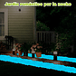 Piedras Decorativas de Jardín Acuarios Jardin de Hadas x800 Piezas Brillan En Oscuridad - Miniatura 14