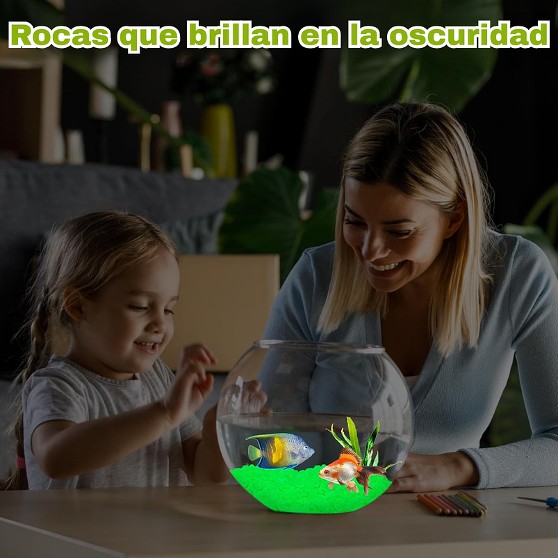 Piedras Decorativas de Jardín Acuarios Jardin de Hadas x800 Piezas Brillan En Oscuridad 19