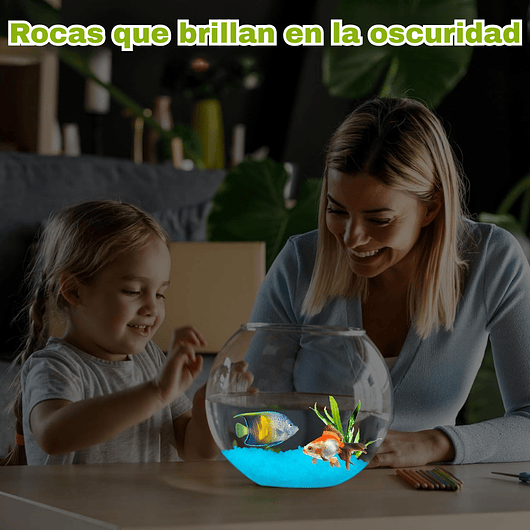 Piedras Decorativas de Jardín Acuarios Jardin de Hadas x800 Piezas Brillan En Oscuridad 25