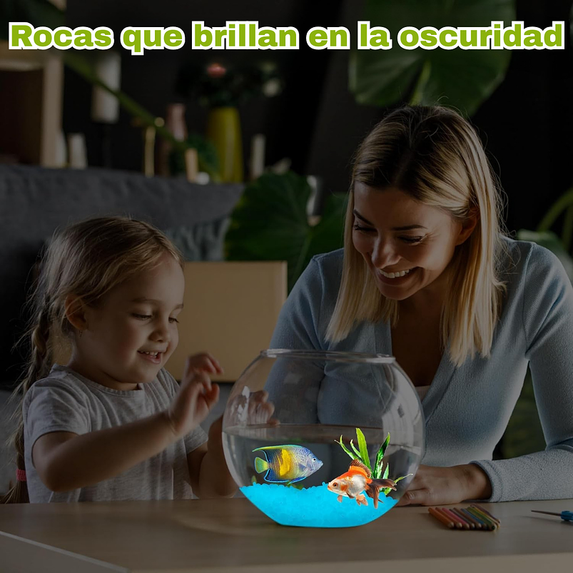 Piedras Decorativas de Jardín Acuarios Jardin de Hadas x800 Piezas Brillan En Oscuridad 25