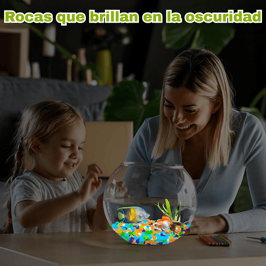 Piedras Decorativas de Jardín Acuarios Jardin de Hadas x800 Piezas Brillan En Oscuridad 7