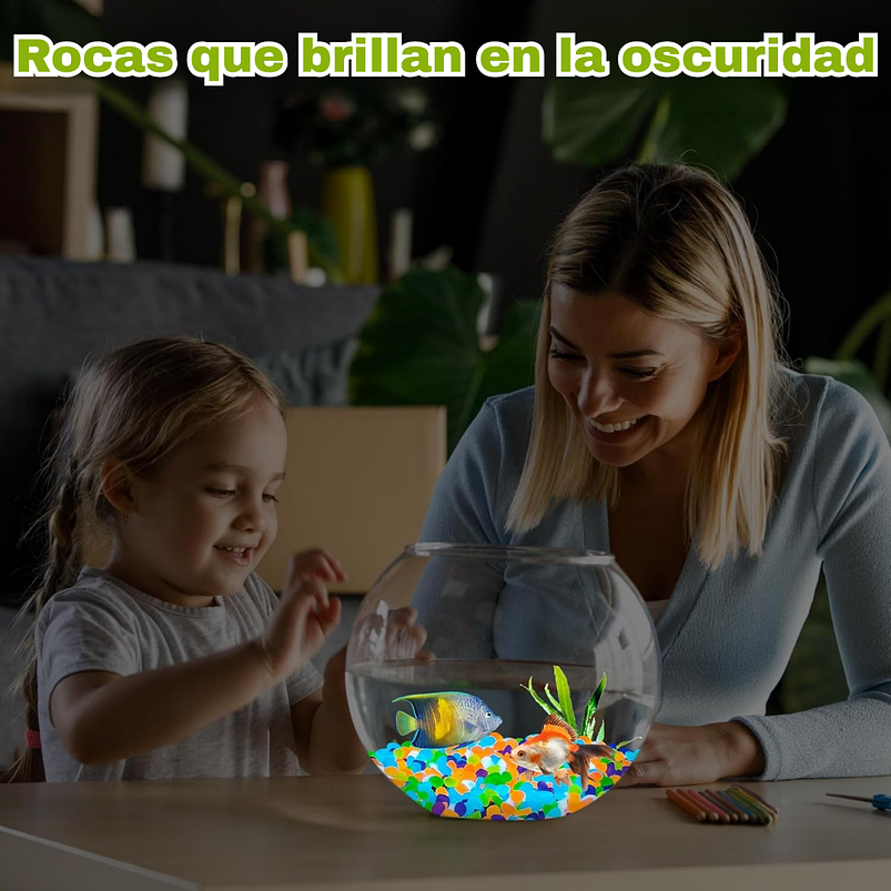 Piedras Decorativas de Jardín Acuarios Jardin de Hadas x800 Piezas Brillan En Oscuridad 7