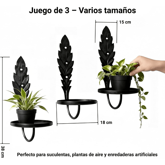 Soporte Metalico De Pared Decorativo Plantas y Macetas x3 Unidades 5