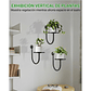 Soporte de Macetas y Plantas en Pared Metalico x3 Unidades - Miniatura 3