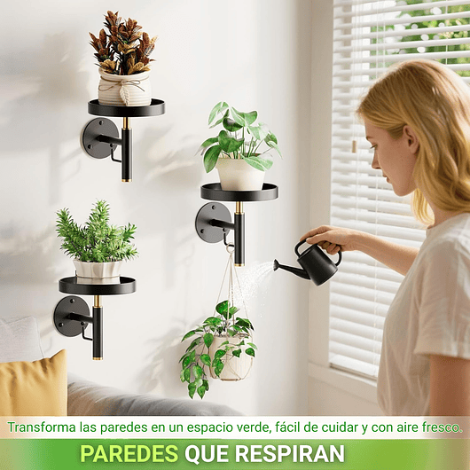 Soporte De Pared Metalico x3 Unidades Para Macetas y Plantas De Interior 3