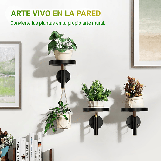 Soporte De Pared Metalico x3 Unidades Para Macetas y Plantas De Interior 7