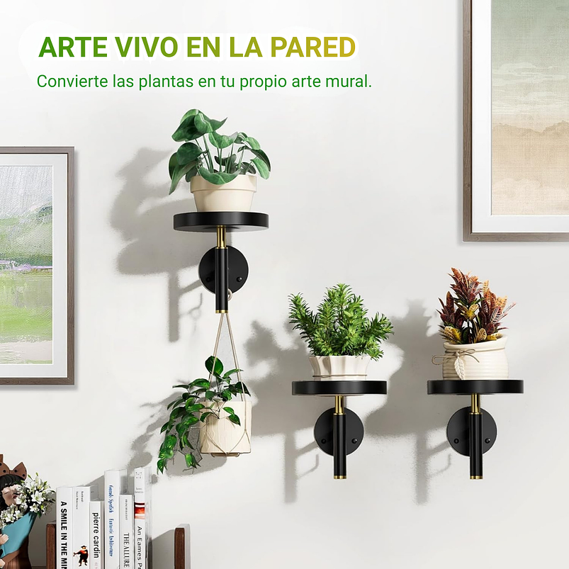 Soporte De Pared Metalico x3 Unidades Para Macetas y Plantas De Interior 7