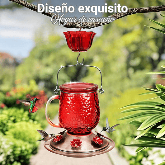 Bebedero Aves Colibríes x475ml Botella en Vidrio y 6 Puertos Alimentacion 7