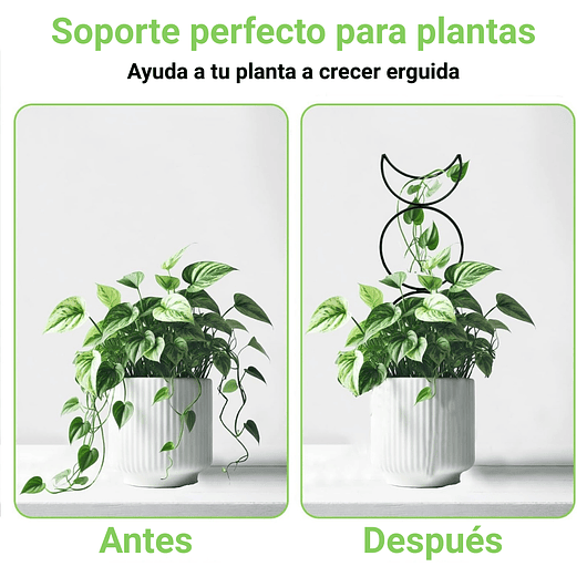Soporte Para Plantas Trepadoras Enrejado Metalico x4 Unidades 4
