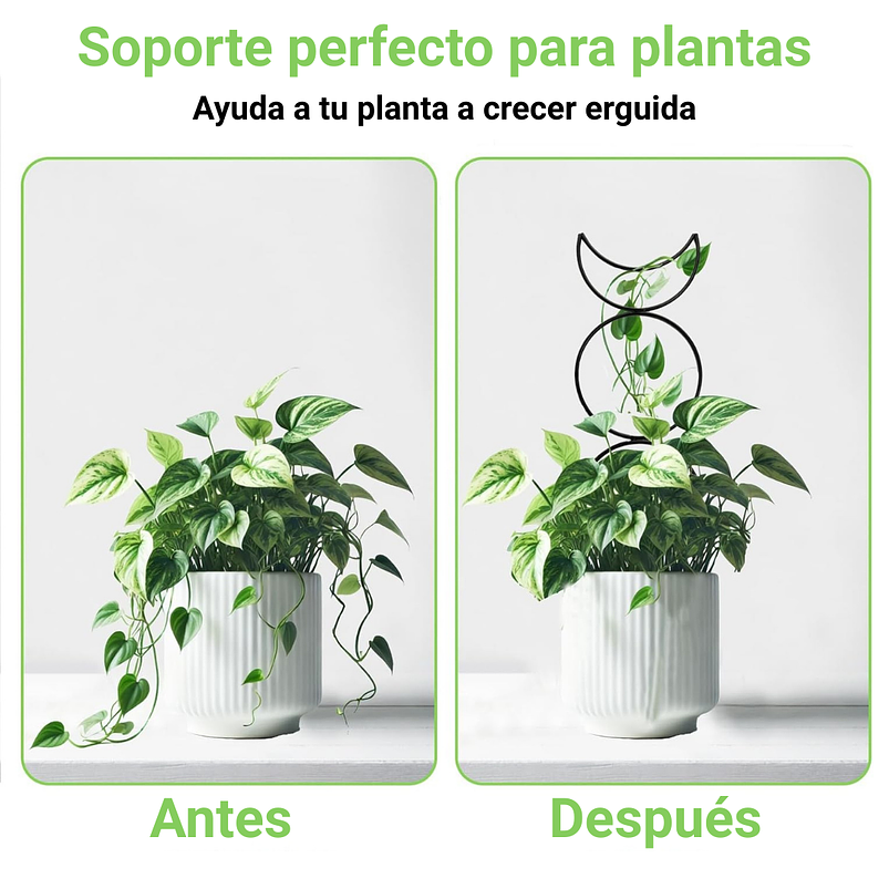 Soporte Para Plantas Trepadoras Enrejado Metalico x4 Unidades 4