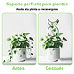 Soporte Para Plantas Trepadoras Enrejado Metalico x4 Unidades - Miniatura 4