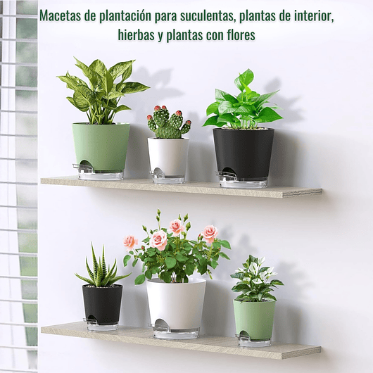 Macetas Con Riego Automático x5 Unidades Para Plantas Interior 9