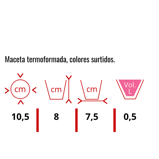 Macetas Plástica Tipo Vivero x25 Unidades 10cm Diámetro x8cm Alto 6