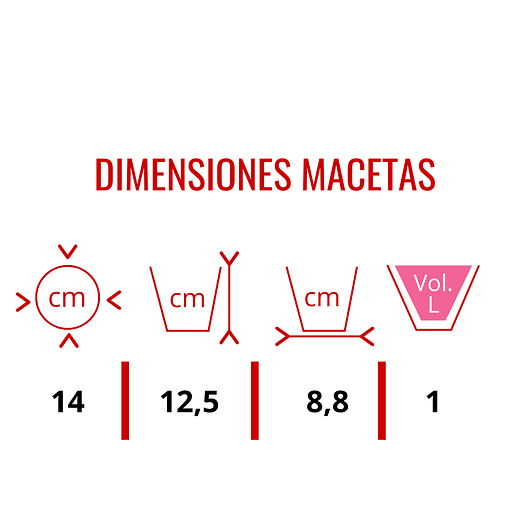 Soporte Macetas Pared x4 Puestos en Teca más Macetas Plásticas 9
