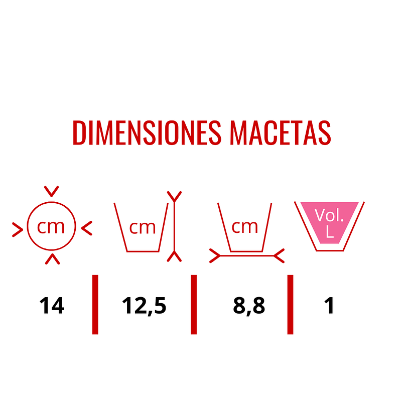 Soporte Macetas Pared x4 Puestos en Teca más Macetas Plásticas 9
