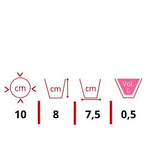 Matera - Maceta Plástico Tipo Vivero 10cm x8cm x25 Unidades P10 2