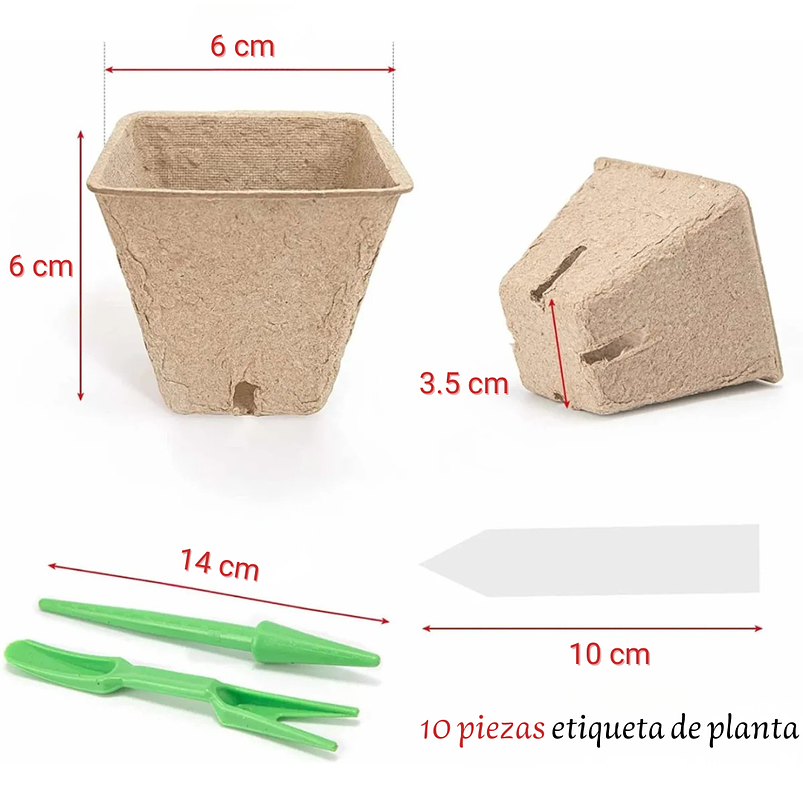 Maceta Papel Orgánico Biodegradable x100 Unidades Semillero 6x6 centímetros 2