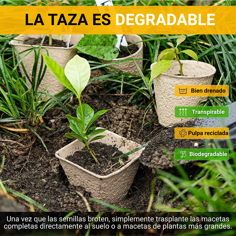 Maceta Papel Orgánico Biodegradable x100 Unidades Semillero 6x6 centímetros 8