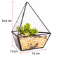 Maceta Terrario Plantas Cristal Triangular - Miniatura 2