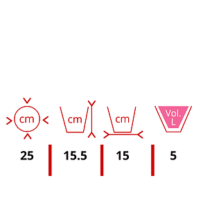 Maceta Plástica De Colgar Para Plantas De 25cm Diámetro