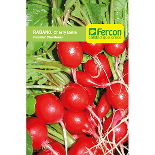 Semillas De Rabano Cherry Belle Sobre Estandar