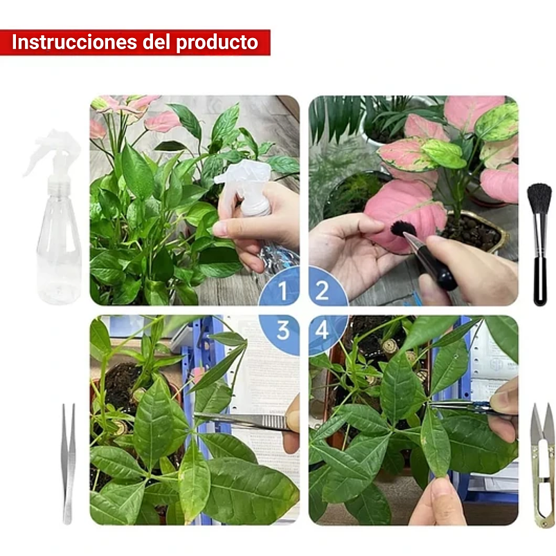 Kit Herramientas Plantas Cactus Suculenta x15 Piezas Azul 5