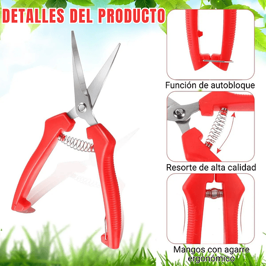 Tijera de Poda y Despunte Plantas Punta Recta En Acero Inoxidable 3