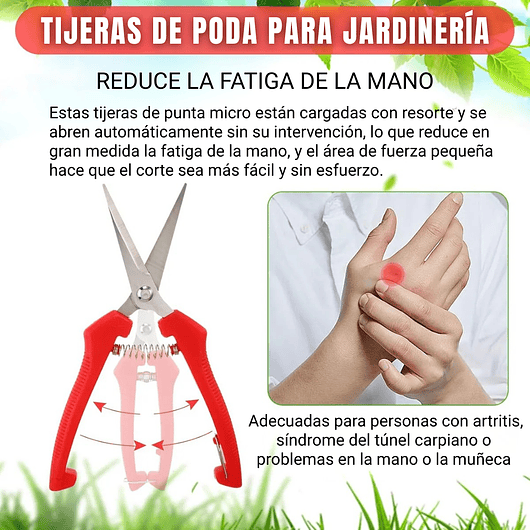 Tijera de Poda y Despunte Plantas Punta Recta En Acero Inoxidable 5