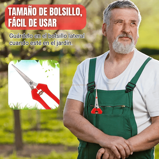 Tijera de Poda y Despunte Plantas Punta Recta En Acero Inoxidable 6