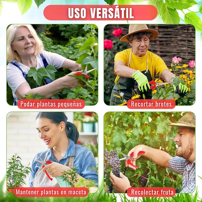 Tijera de Poda y Despunte Plantas Punta Recta En Acero Inoxidable 7