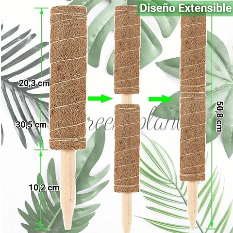 Kit Siembra Soporte Coco x2 Unidades Plantas Trepadoras 30cm