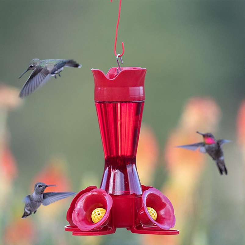 Bebedero De Colibríes Colgar Diseño Flor 8oz Plástico 2