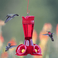 Bebedero De Colibríes Colgar Diseño Flor 8oz Plástico - Miniatura 2