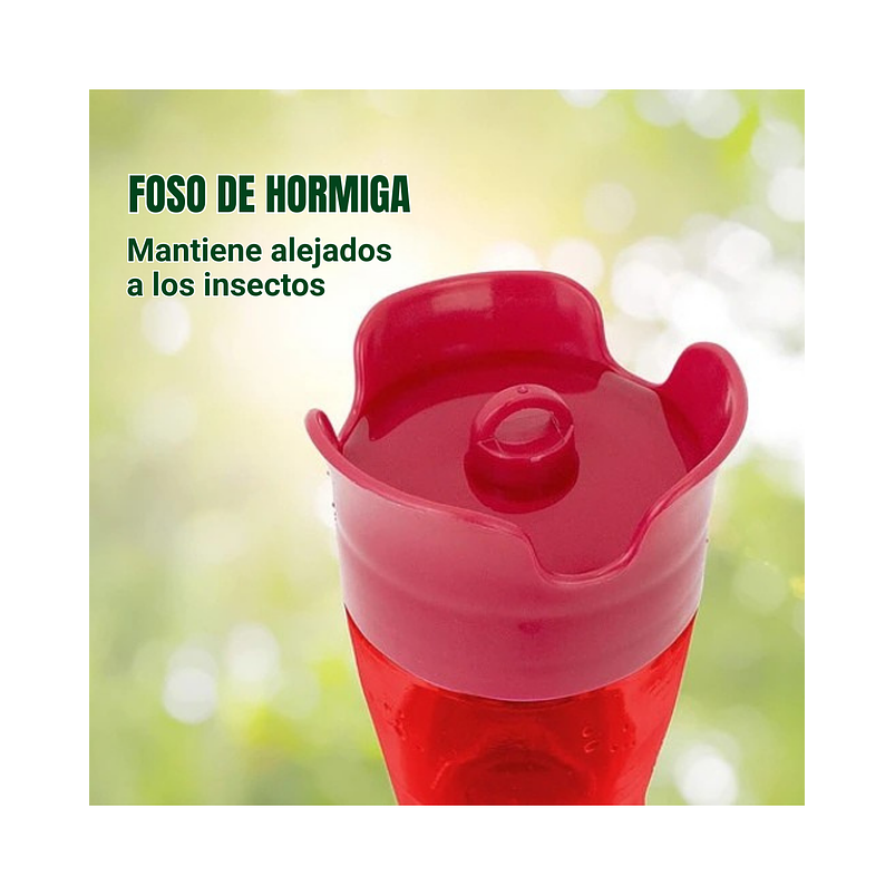 Bebedero De Colibríes Colgar Diseño Flor 8oz Plástico 8