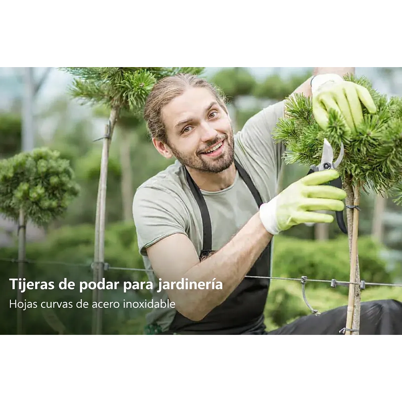 Tijera de Poda Para Plantas - Jardinería Hoja En Acero 26
