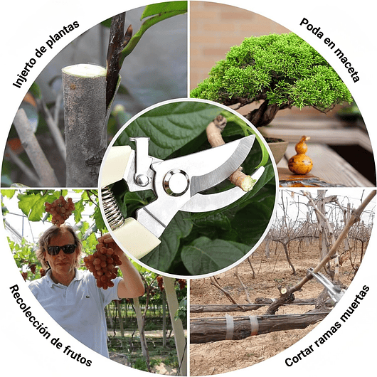 Tijera de Poda Para Plantas - Jardinería Hoja En Acero 18