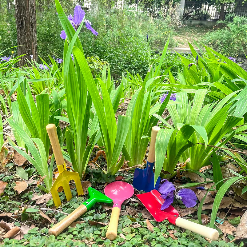 Juego Herramientas Jardinería Para Niños Metal Madera x5 Piezas 7