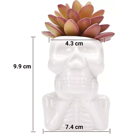 Juego De Macetas En Cerámica Cactus -suculentas X4 Premium 4