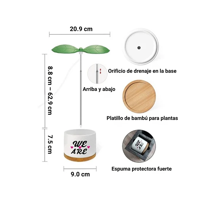 Juego Macetas Cerámica Suculentas x2 unidades más kit Iluminación 2